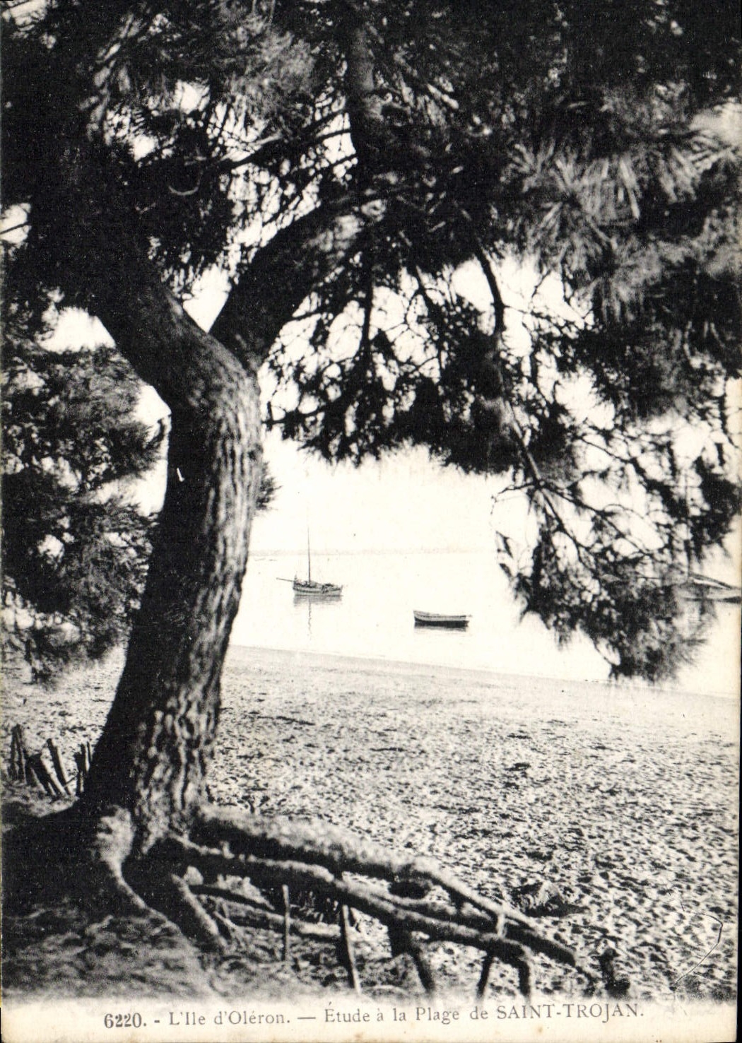 CPA L'Ile d'Oleron Etude a la Plage de Saint Trojan 