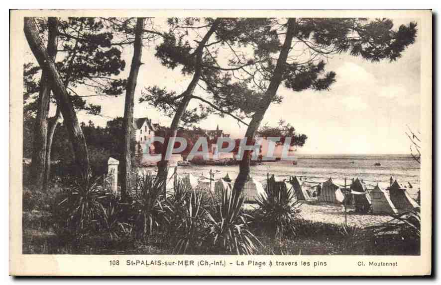 CPA St Palais sur Mer Ch Inf La Plage a travers les pins 