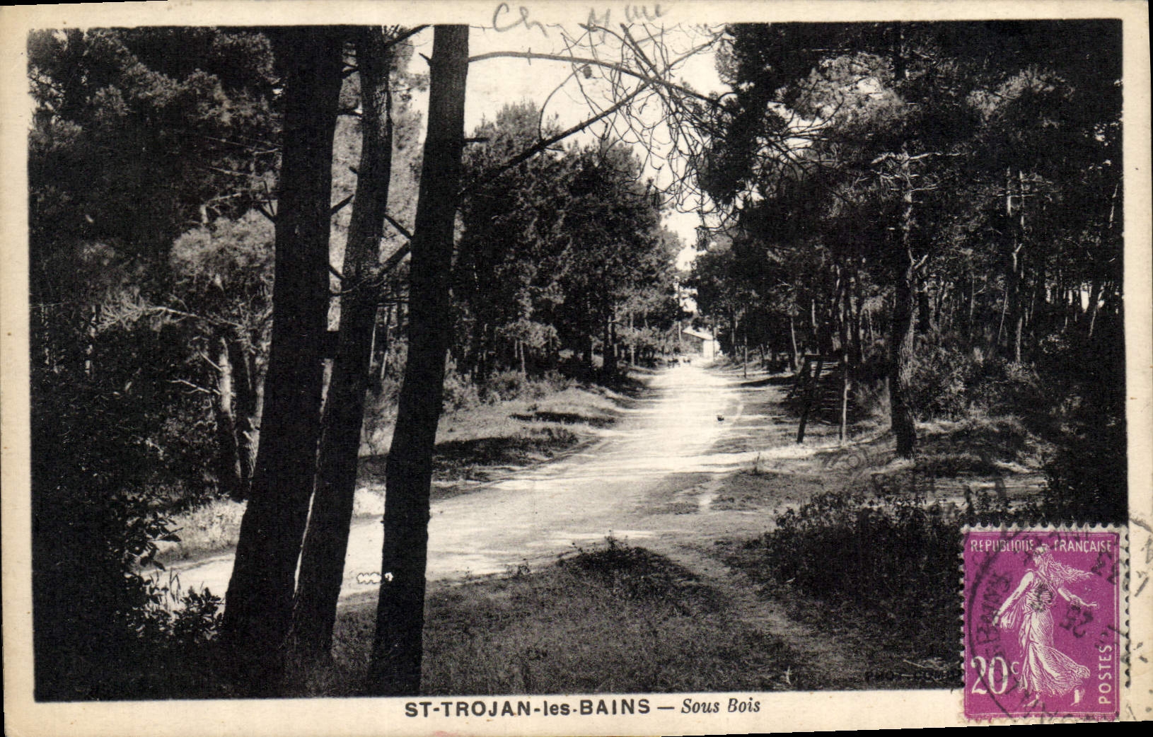 CPA St Trojan les Bains Sous Bois 