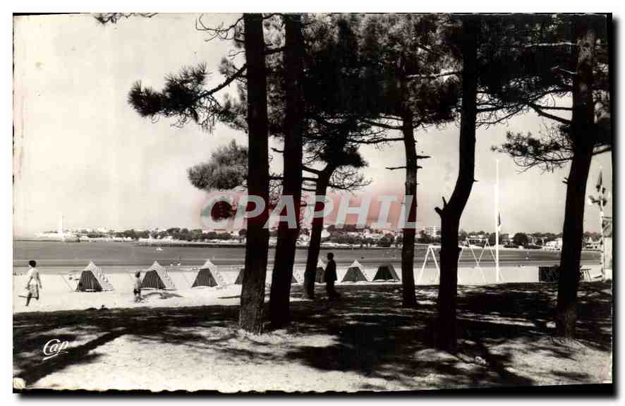 CPA St Georges de Didonne La Plage a travers les pins 