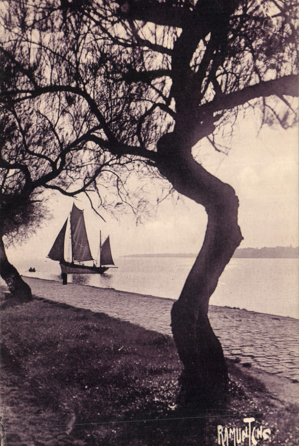 La Rochelle — Promenade des Tamaris — Éditions Artistiques Raymond Bergevin