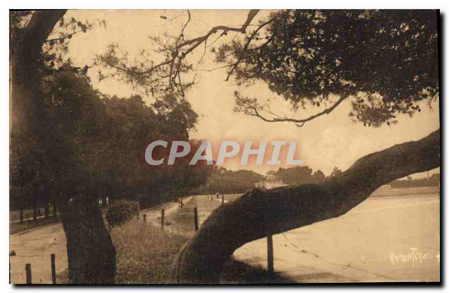 CPA La Rochelle Promenade de la Concurrence 