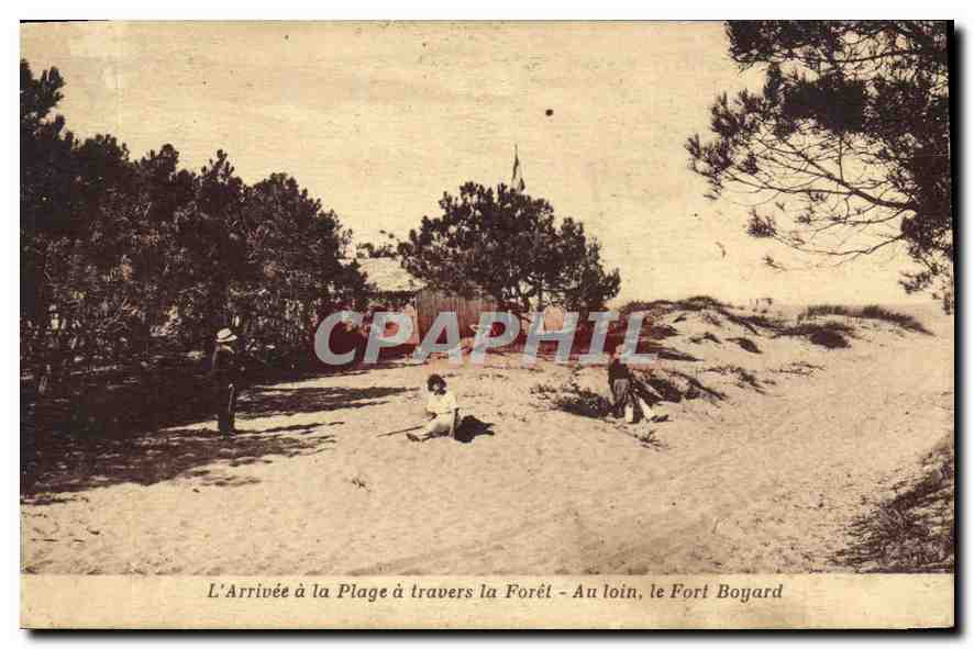 CPA L'Arrivee a la Plage a travers la Foret Au loin le Fort Boyard 