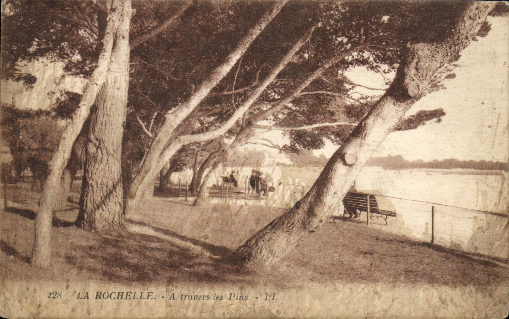 La Rochelle - A travers les Pins - L.L. n°128