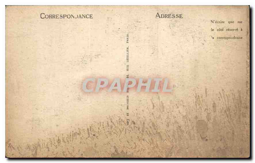 La Rochelle - A travers les Pins - L.L. n°128 — Back