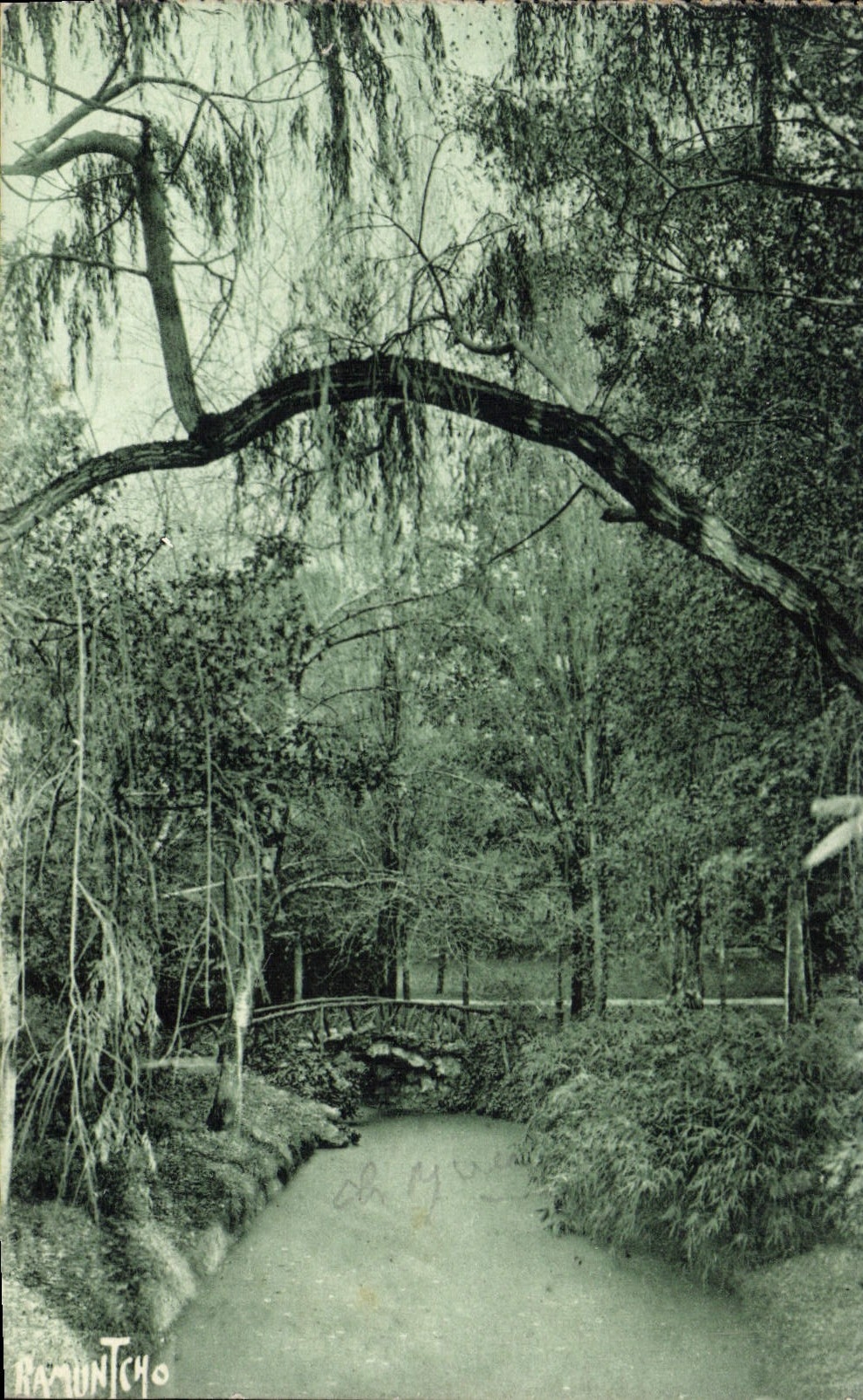 CPA La Rochelle Le Ruisseau du Parc Charruyer 