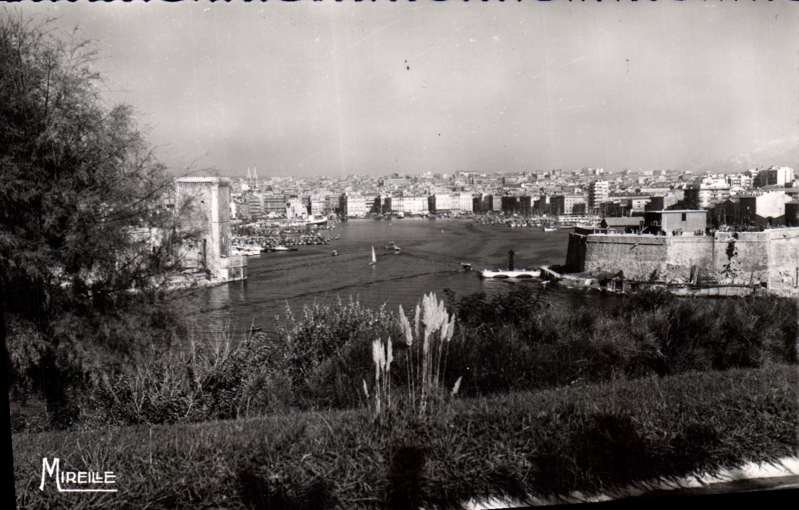 CPA Marseille B du R Le Vieux Port vu des Jardins du Pharo 