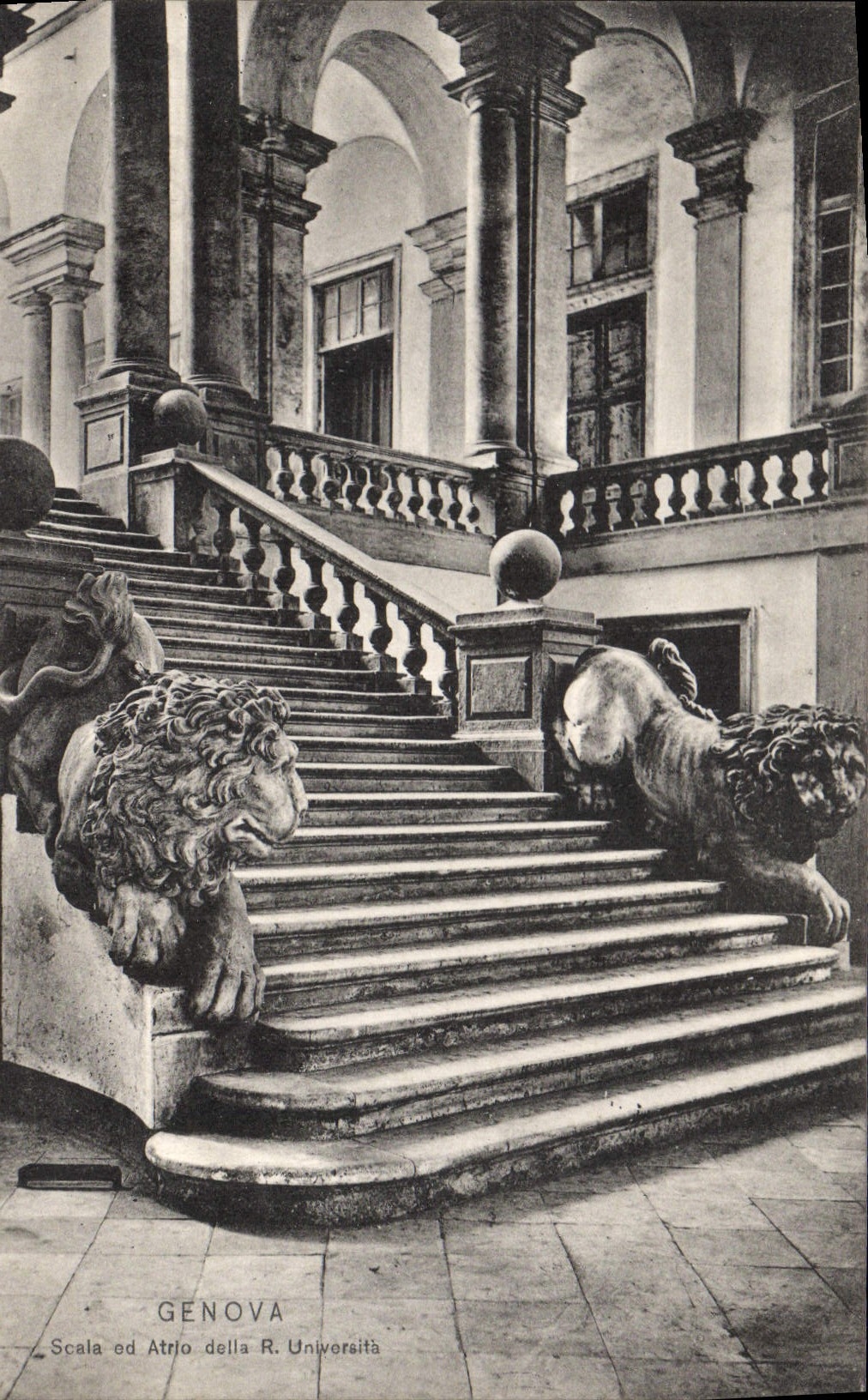 CPA Genova Lion