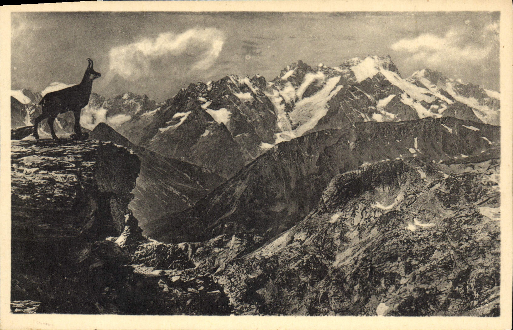 Chamois sur la montagne — Le Dauphiné pittoresque — Éditeur : Lept et Secourirs Reuils, Paris