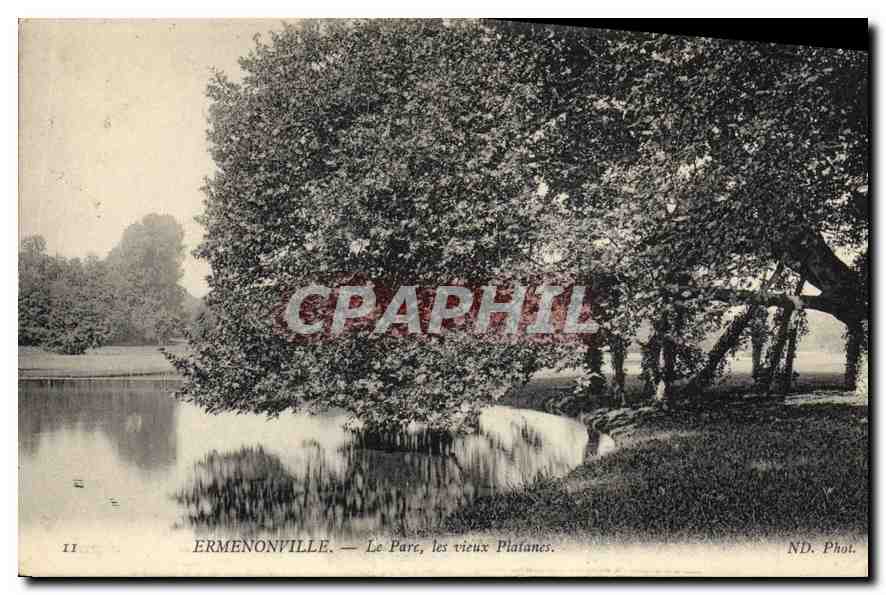 CPA Ermenonville le Parc les vieux Plafanes 