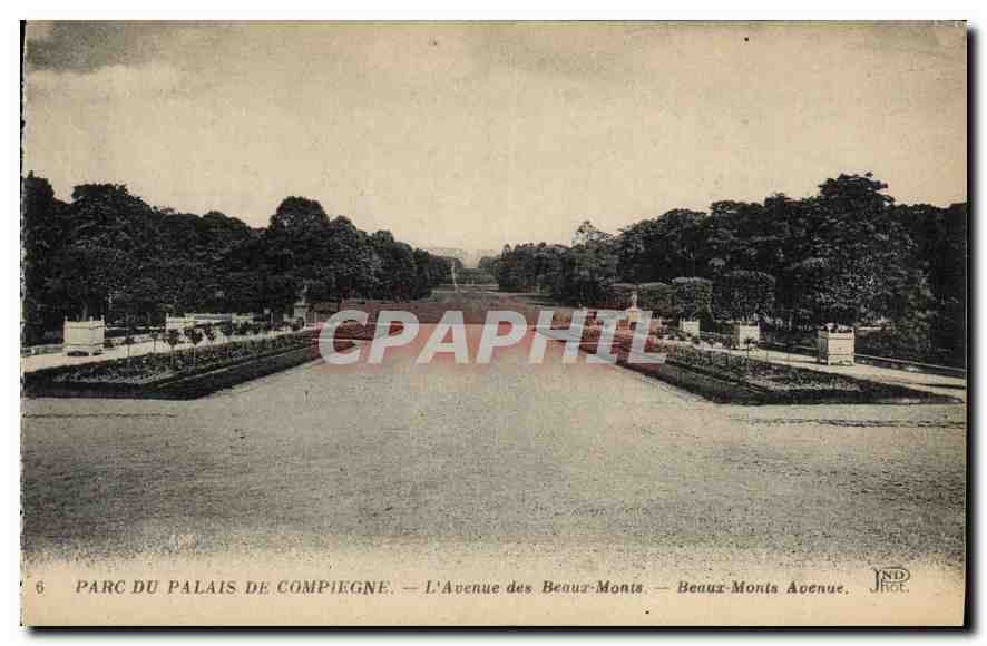 CPA Parc du Palais de Compiegne l'Avenue des Beaux Monts 