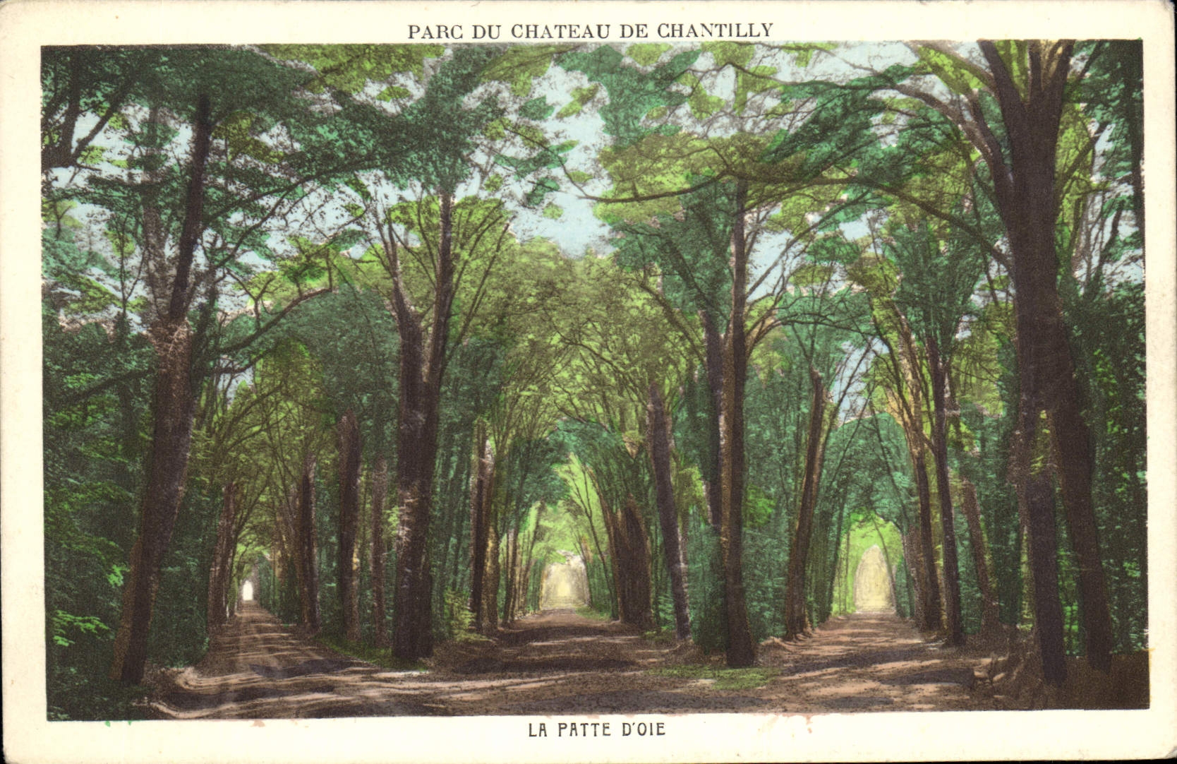 Parc du Château de Chantilly — La Patte d'Oie — Braun & Cie, Paris