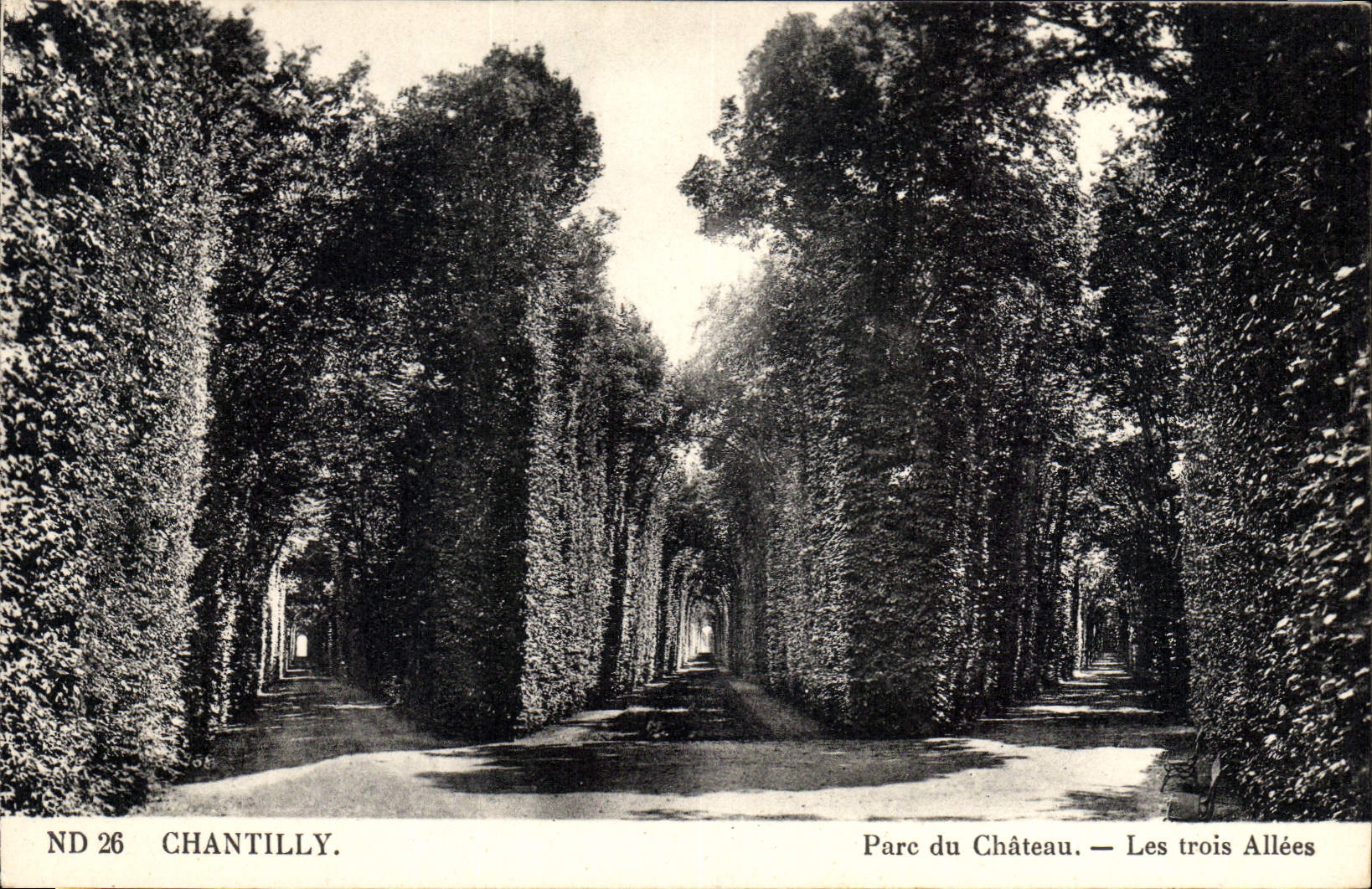 Chantilly. — Parc du Château — Les trois Allées — ND 26