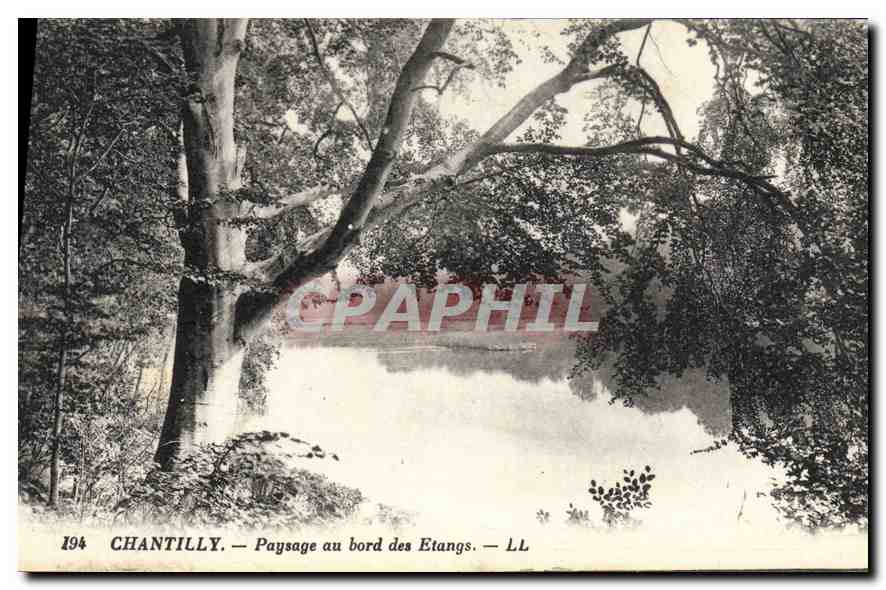 CPA Chantilly Paysage au bord des Etangs 