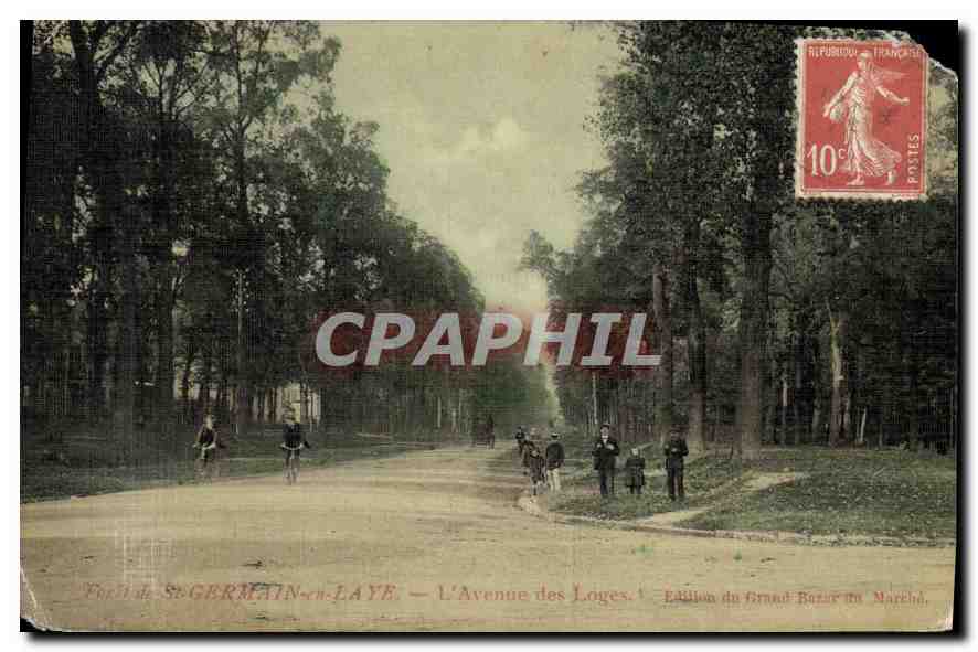 CPA St Germain en Laye L'Avenue des Loges (carte toilée)