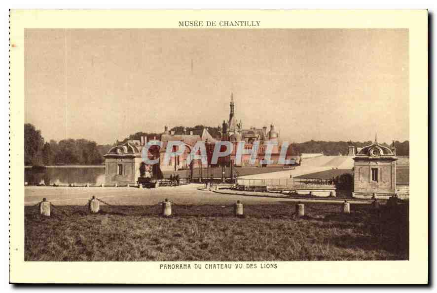 CPA Musee de Chatilly Panorama du Chateau vu des Lions 