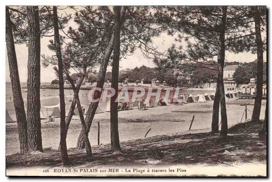 CPA Royan St Palais sur Mer La Plage a travers les Pins 
