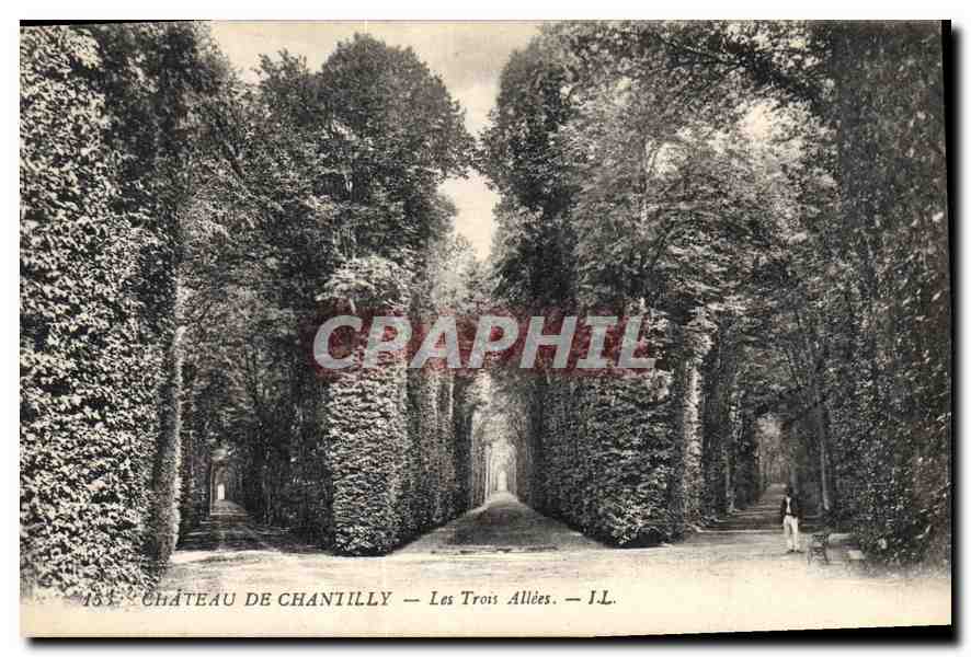 CPA Chateau de Chantilly Les Trois Allees 