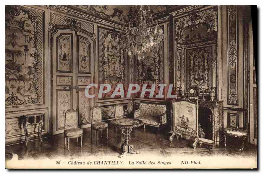 CPA Chateau de Chantilly La Salle des Singes 