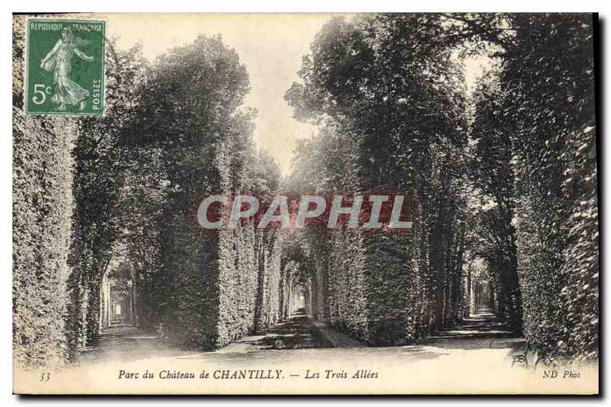 CPA Parc du Chateau de Chantilly Les Trois Allees 