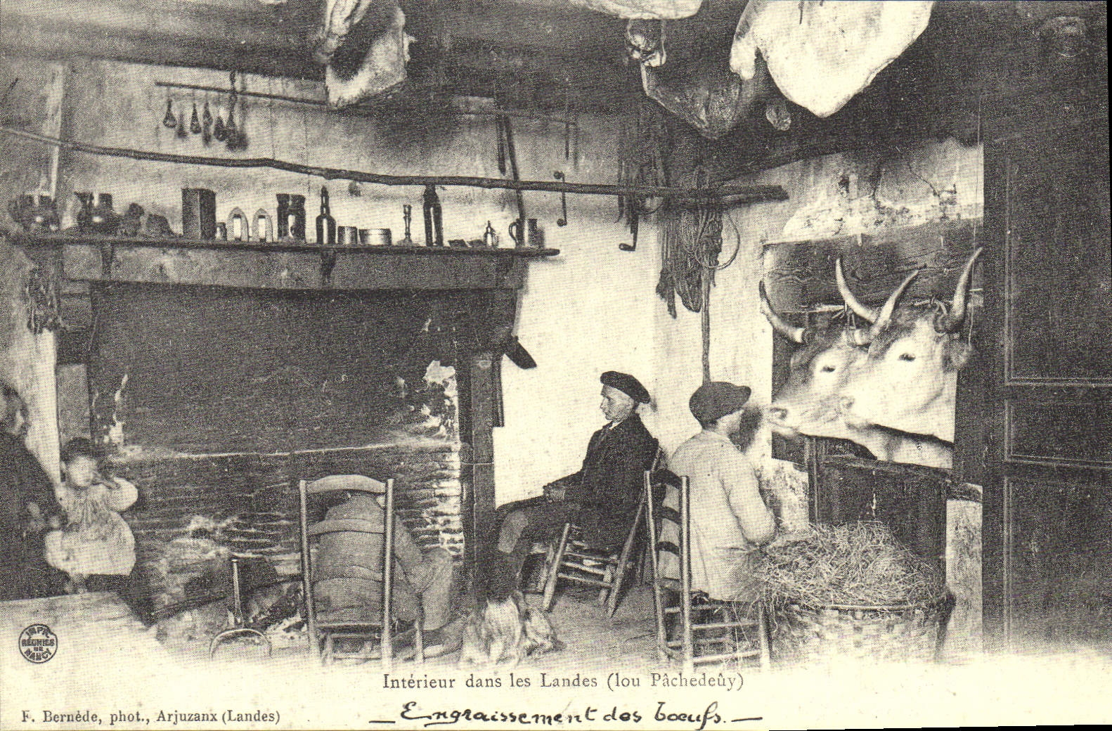 REPRO Interieur dans les Landes Lou Pachedeuy 