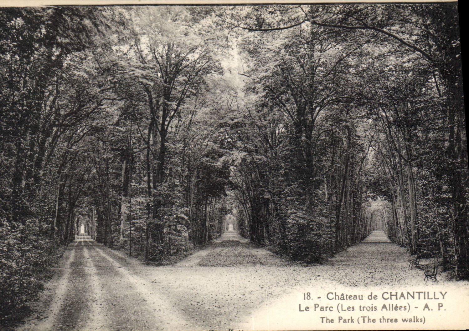 CPA Chateau de Chantilly  le Parc les trois Allees 