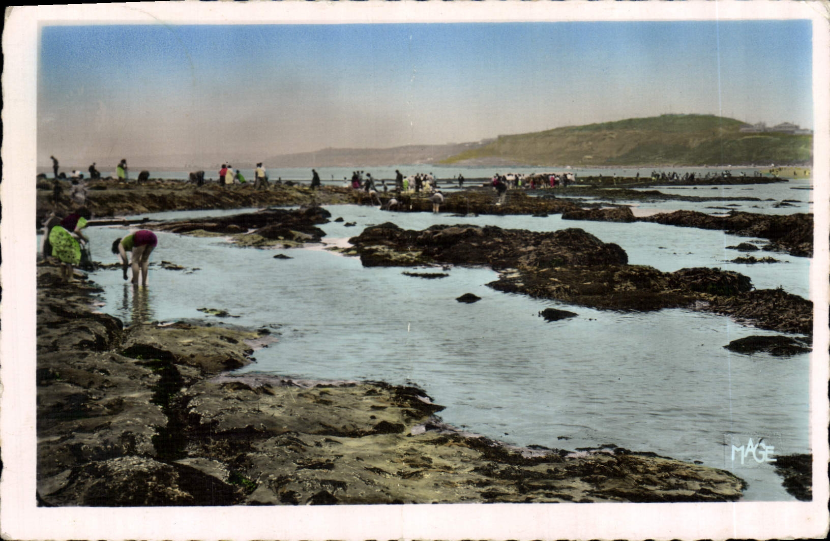 CPA Le Portel P de C la Plage a maree Basse 