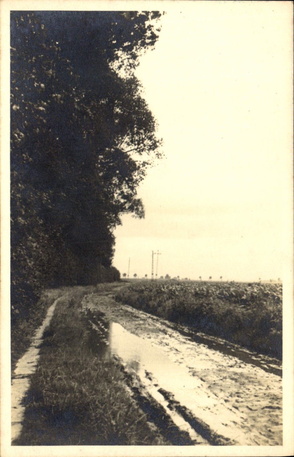 Photo Route
