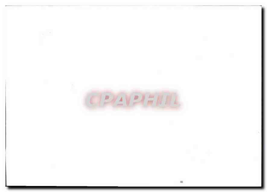 Photo Defile Militaire Paris Champs Elysees Militaria — Verso