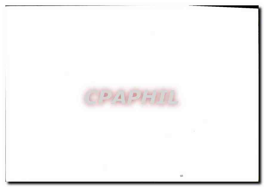 Photo Militaria Defile Defile Champs Elysees Paris — Verso