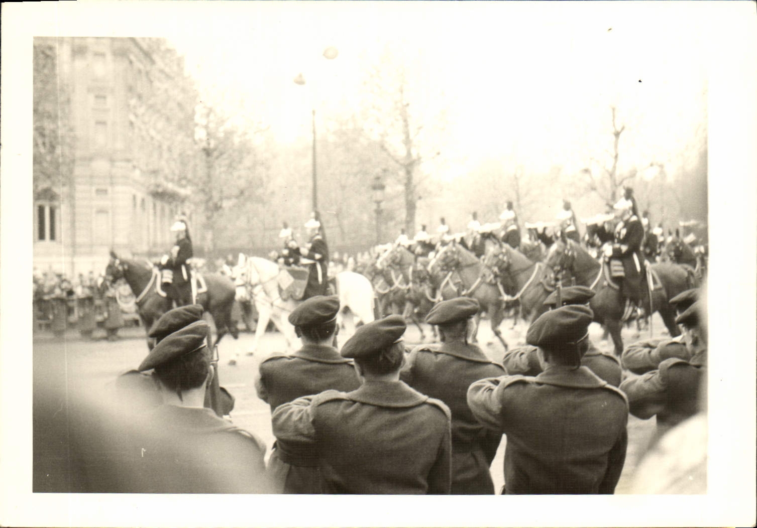 Photo Militaria Defile Paris Chevaux