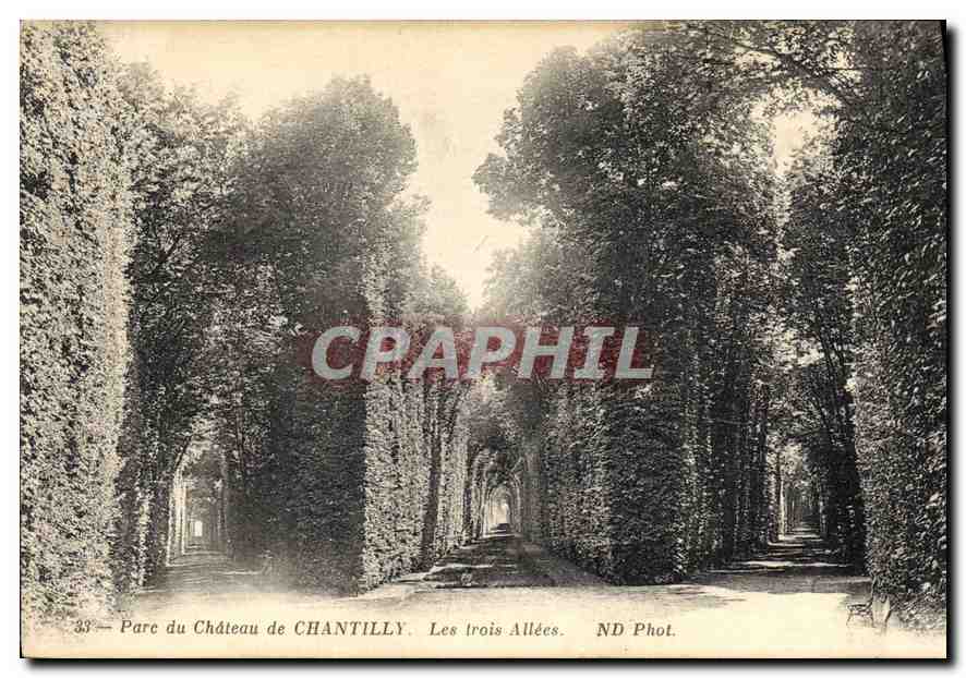 Parc du Château de Chantilly — Les trois Allées — ND Phot.