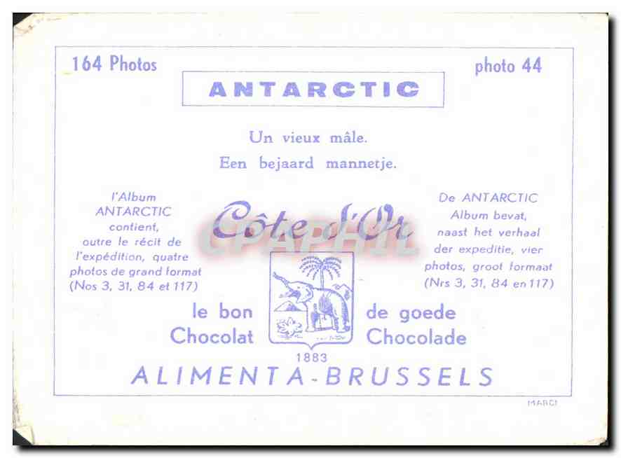 Image Cote d'or Phoque — Rückseite