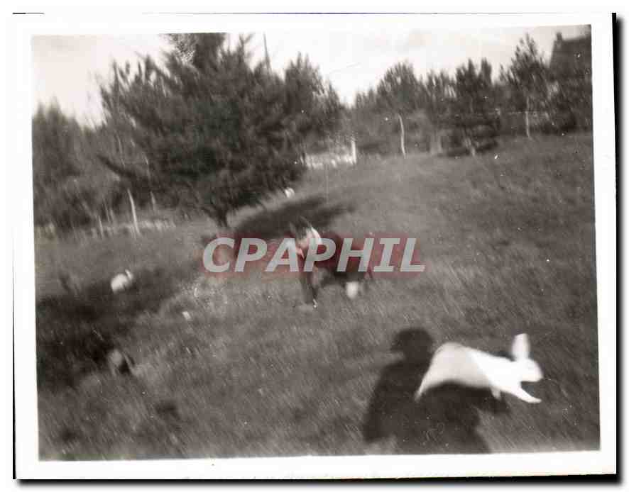 Photo Enfant Lapin