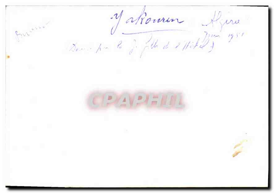 Photo Vaches — Verso