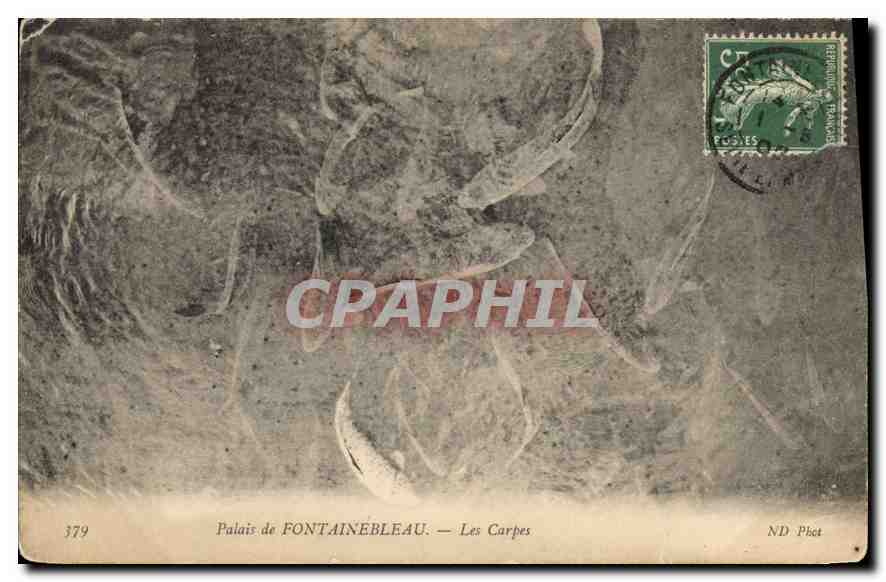 CPA Palais de Fontainebleau  Les Carpes 