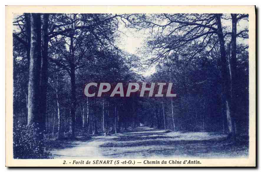 CPA Foret de Senart S et O Chemin du Chene d'Antin 