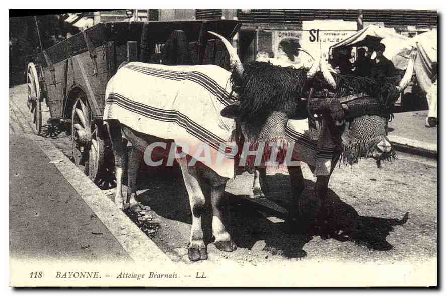 REPRO Bayonne Attelage Bearnais 
