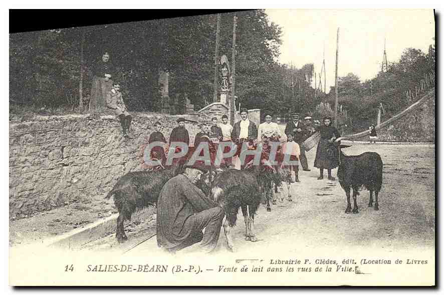REPRO Salies de Bearn Vente de lait dans les rues de la Ville 
