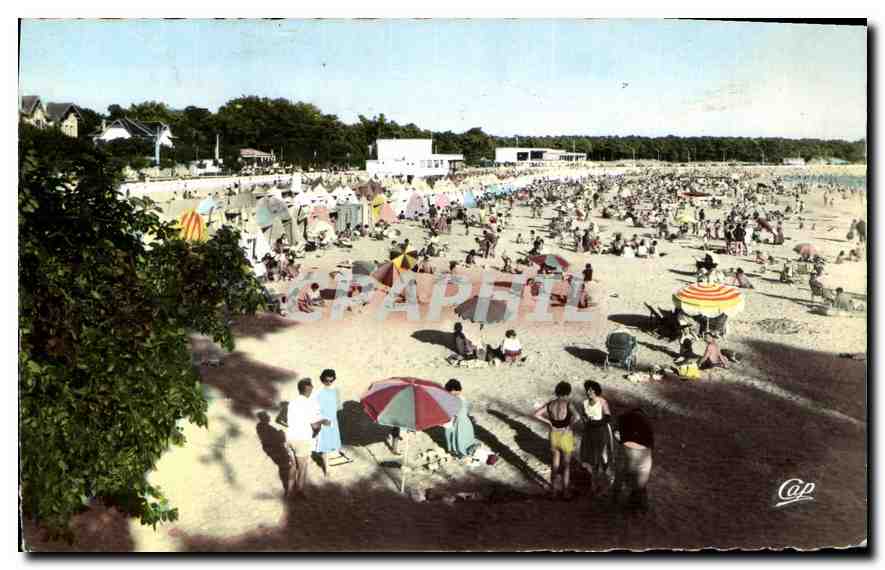Plage de Saint-Georges-de-Didonne — vue aérienne — éditeur Cap, n°103