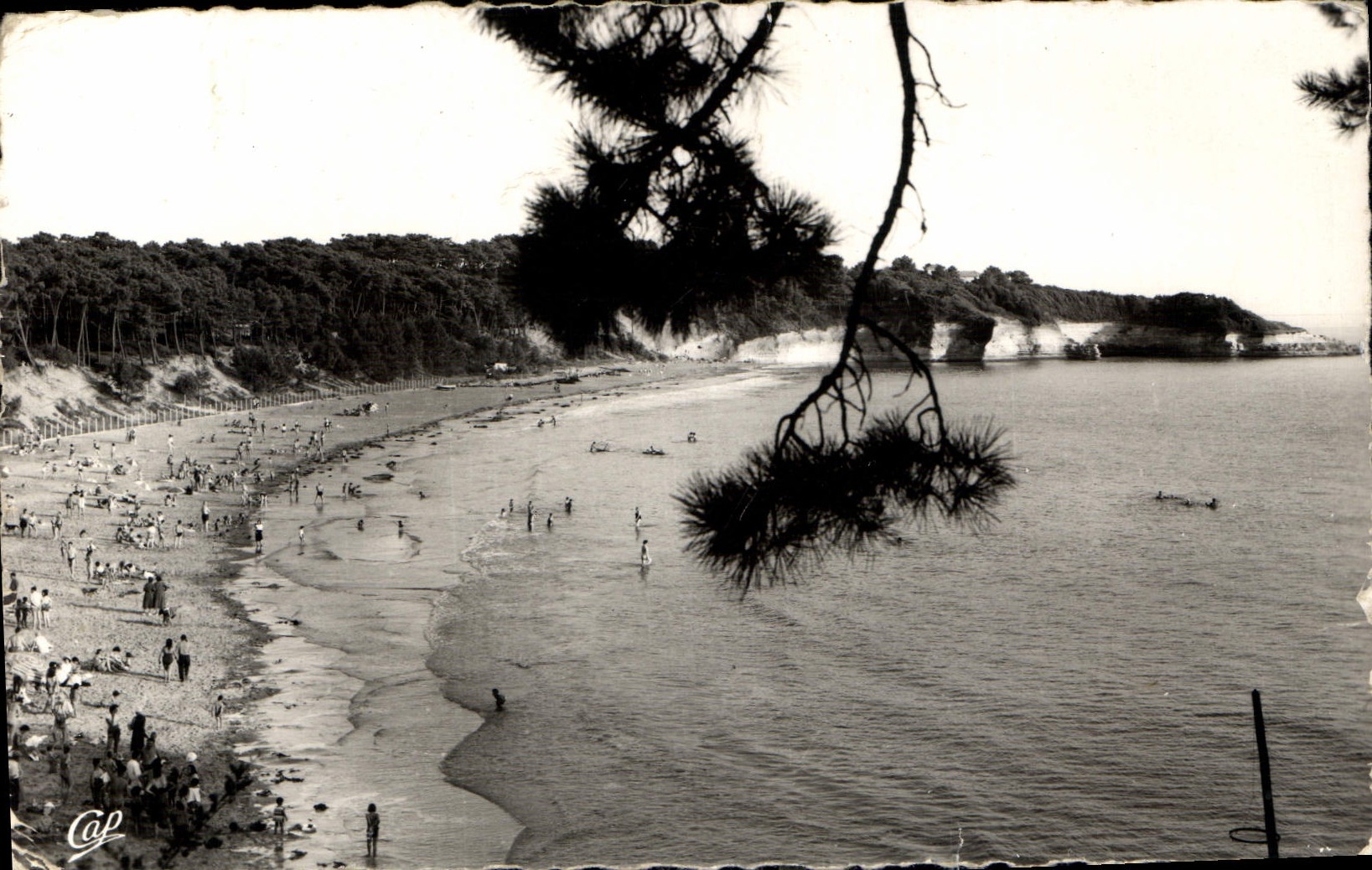 Plage et la Pointe de Suzac — ST-GEORGES-DE-DIDONNE — Réal-Photo