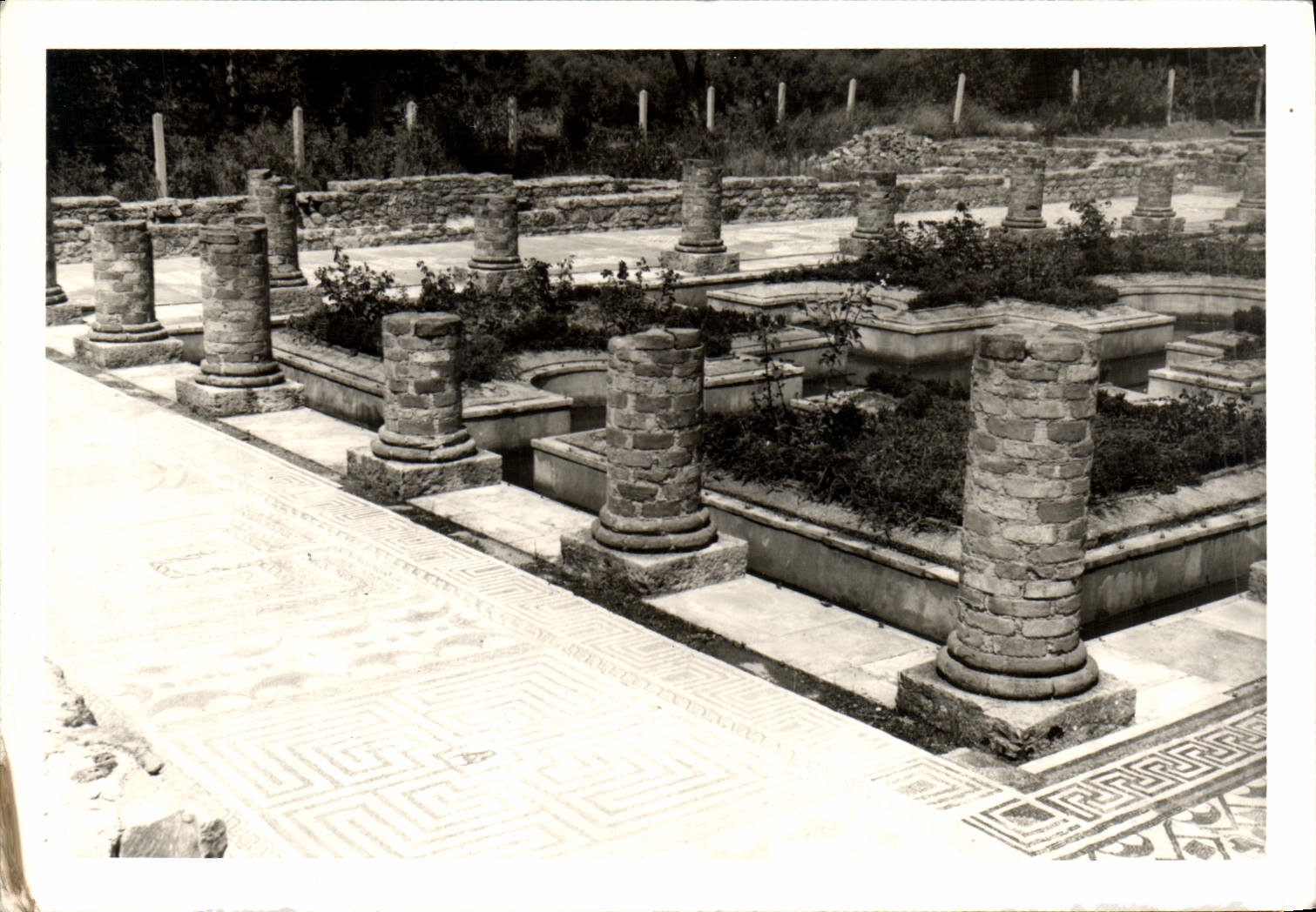 Photo Colonnes