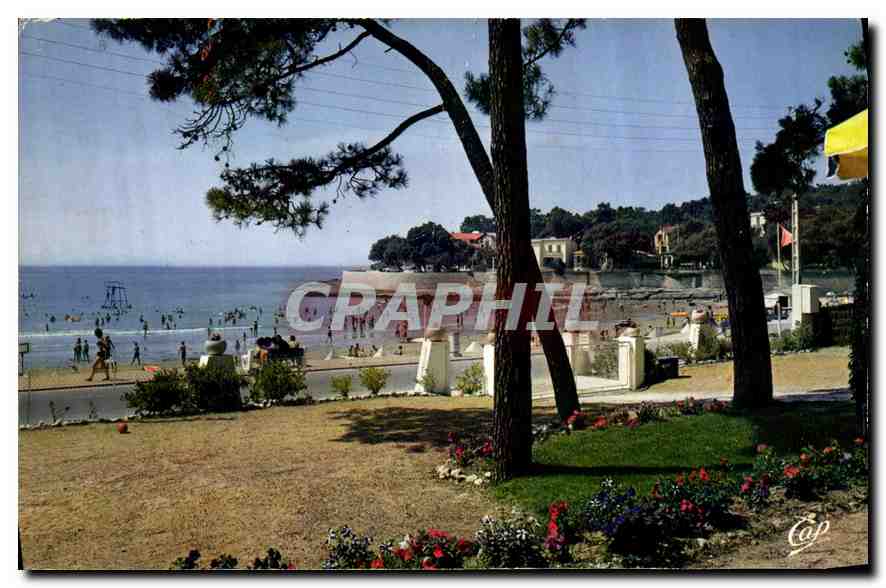 CPM Vaux Nauzan La Plage a Travers les Pins