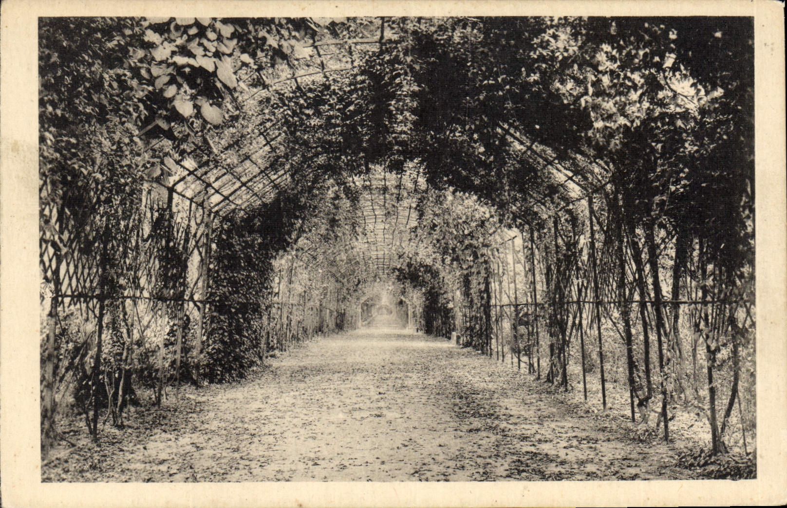 CPA Chateau de Compiegne Le Berceau de Marie Louise 