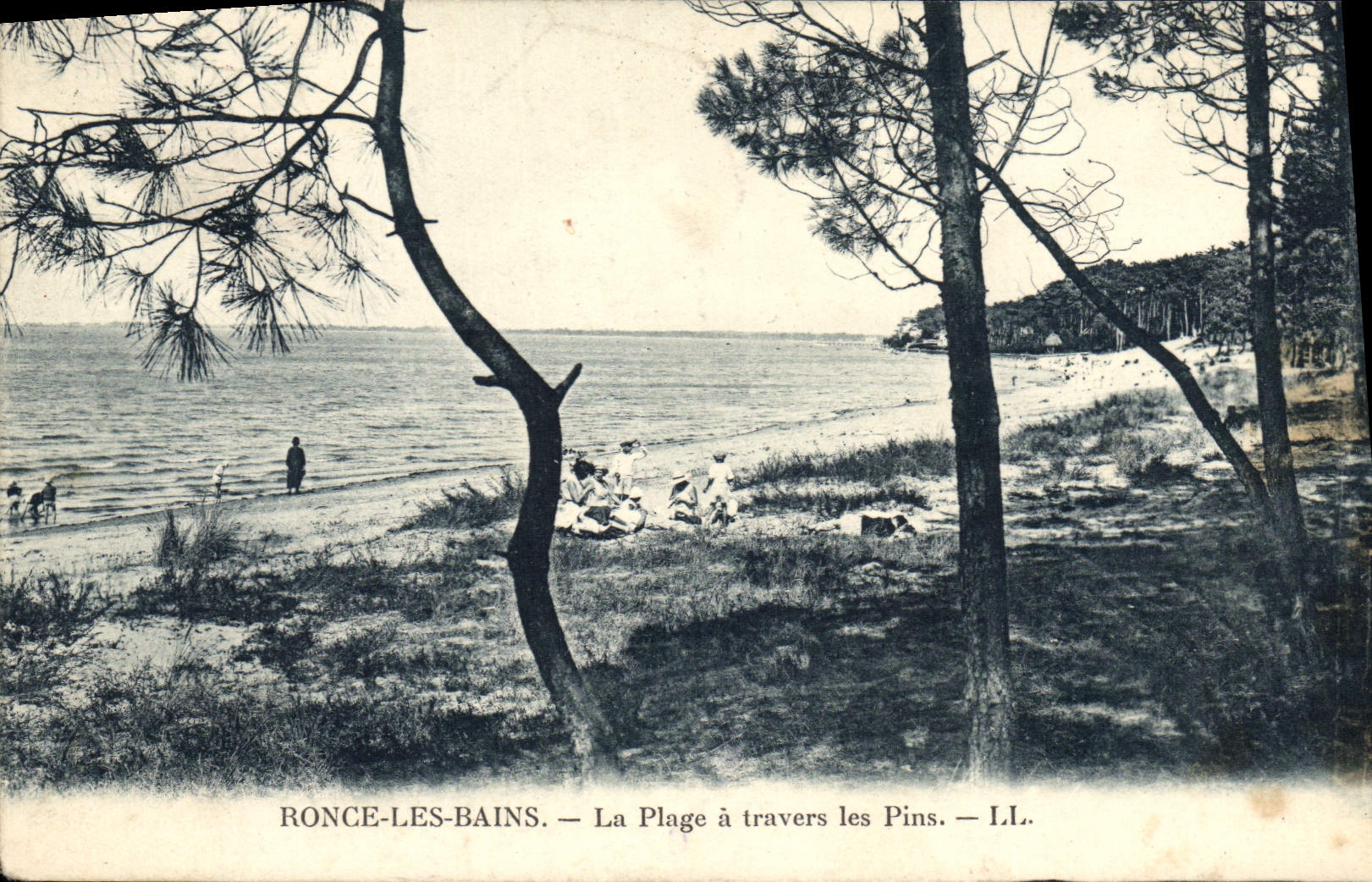CPA Ronce les Bains La Plage a Travers les Pins 