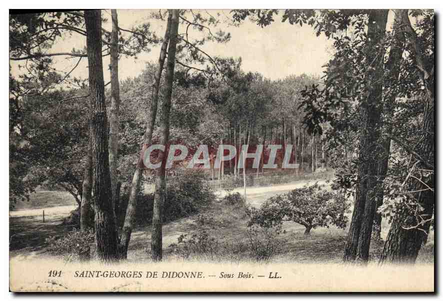 Saint-Georges de Didonne — Sous Bois — LL. — Éditeur LL, n° 191