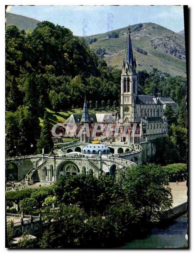CPA Lourdes La Basilique et le Gave 
