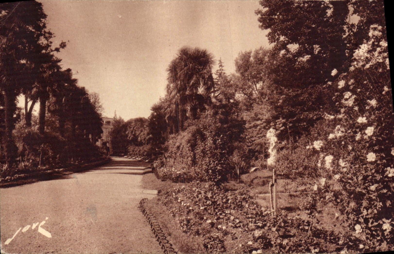 Tarbes — Jardin Massey — Éditions Jové, Pau (B.P.)