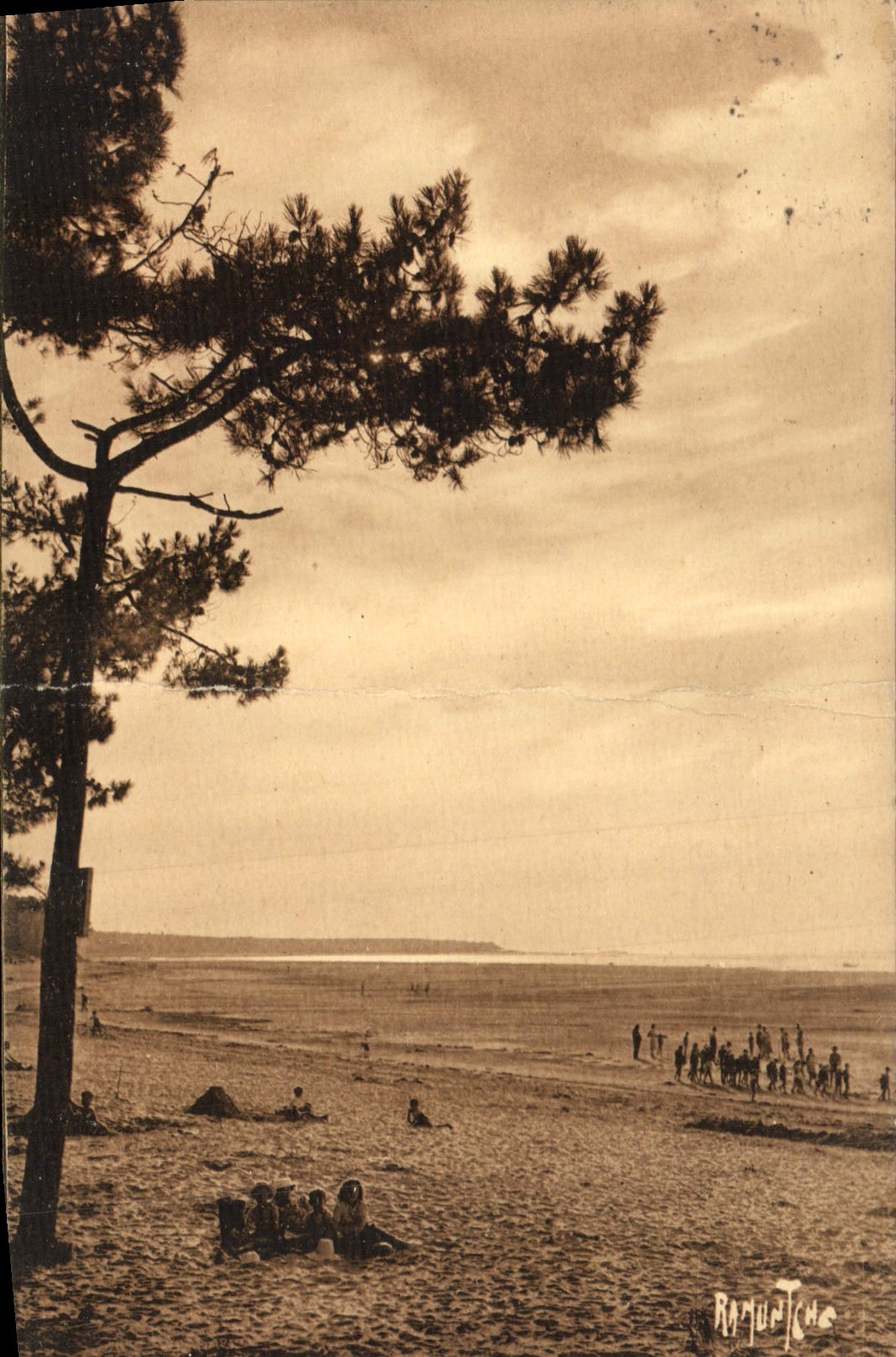 CPA Ronce les Bains Le Galon d'Or 