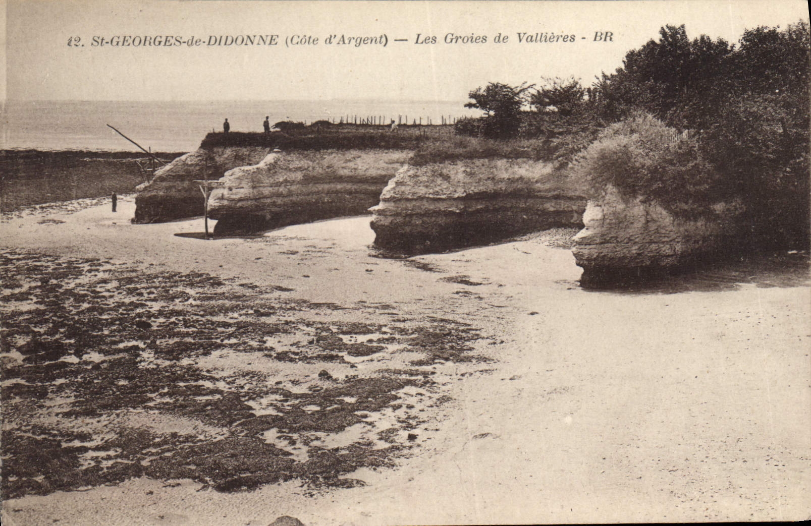 St-Georges-de-Didonne (Côte d'Argent) — Les Groies de Vallières - BR